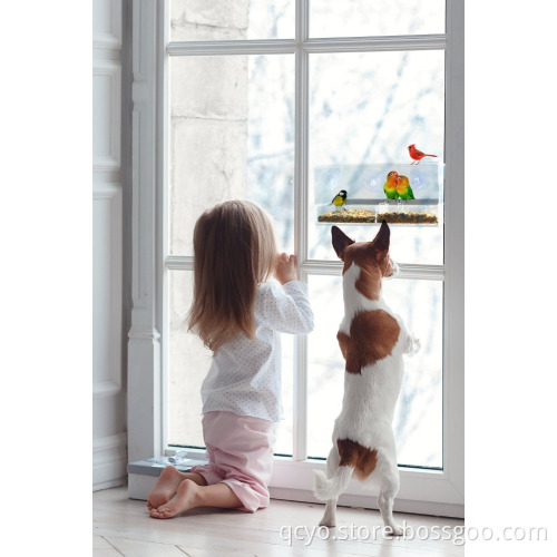 Acrylic Large window Bird Feeder with power Suction Cups and drain crystal bird feeder